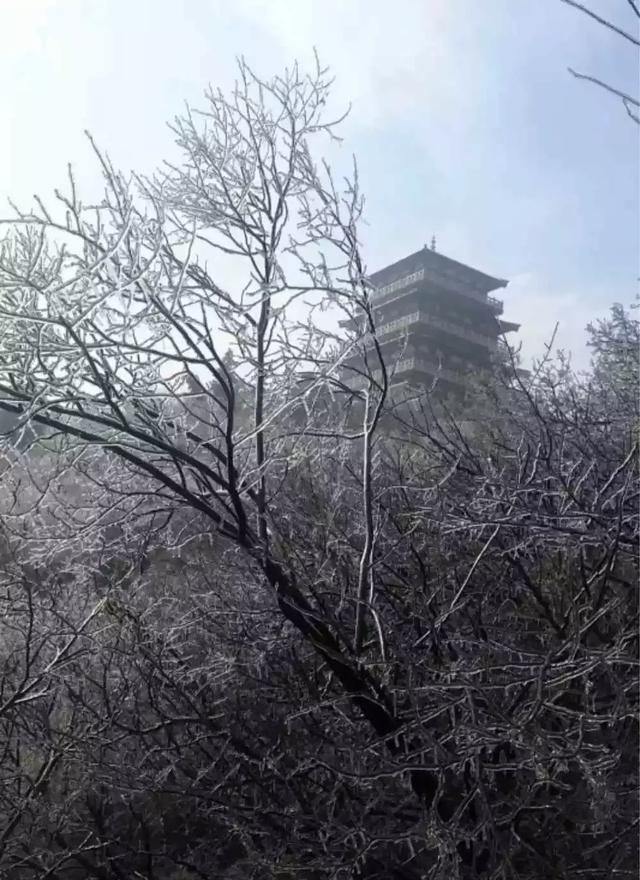 徐州玻璃桥在哪个位置的简单介绍