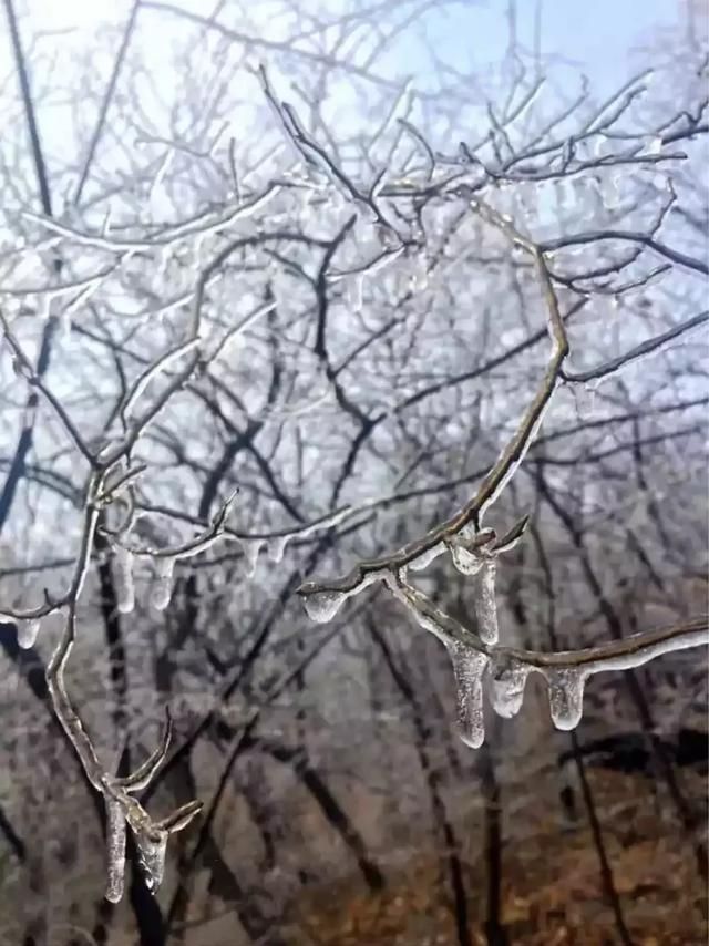 徐州玻璃桥在哪个位置的简单介绍