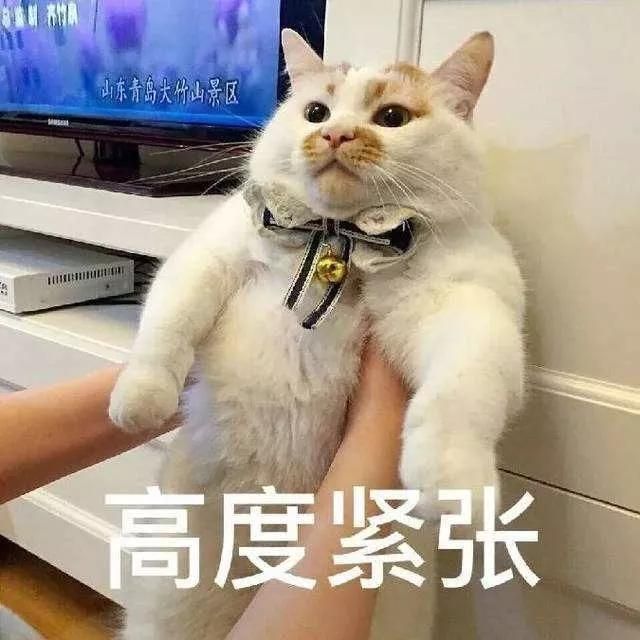 厦门鑫源小区在哪里(厦门新源小学)