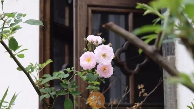 常州小吃街在哪里(常州有什么小吃街)