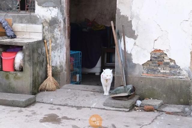常州小吃街在哪里(常州有什么小吃街)
