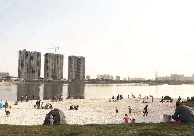 咸阳湿地公园在哪里(咸阳滨河湿地公园在哪里)