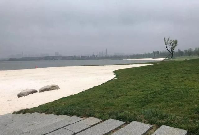 咸阳湿地公园在哪里(咸阳滨河湿地公园在哪里)
