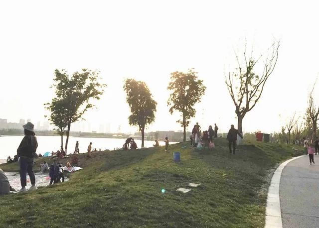 咸阳湿地公园在哪里(咸阳滨河湿地公园在哪里)