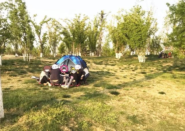 咸阳湿地公园在哪里(咸阳滨河湿地公园在哪里)