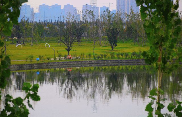 咸阳湿地公园在哪里(咸阳滨河湿地公园在哪里)