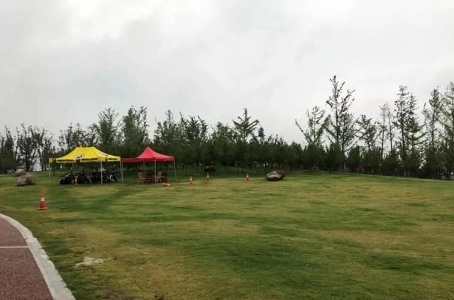 咸阳湿地公园在哪里(咸阳滨河湿地公园在哪里)