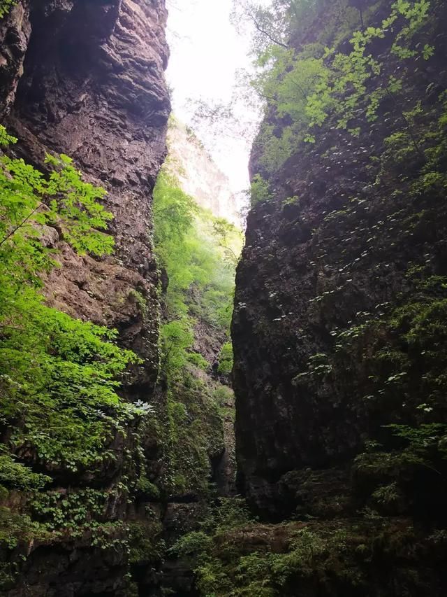 海棠峪在哪(海棠苑)