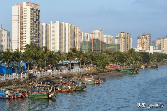 海南什么行业有前景(海南做什么行业有前景)