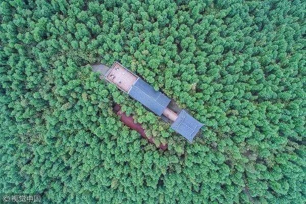 在哪里旅游啊(旅游跟拍在哪里找)