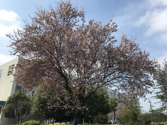 合肥师范学院地址在哪(合肥师范学院研究生院官网)