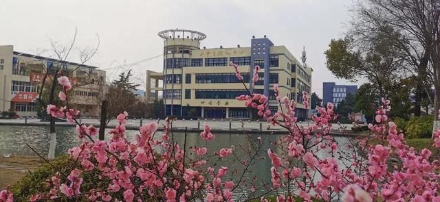 合肥师范学院地址在哪(合肥师范学院研究生院官网)