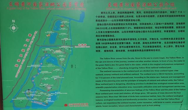 东明森林公园在哪里(东明森林公园在哪里森)