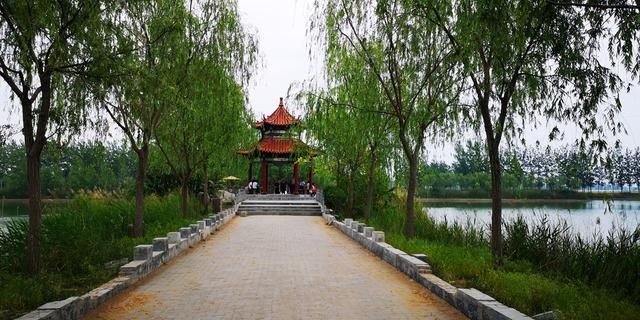 东明森林公园在哪里(东明森林公园在哪里森)