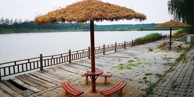 东明森林公园在哪里(东明森林公园在哪里森)