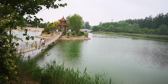 东明森林公园在哪里(东明森林公园在哪里森)