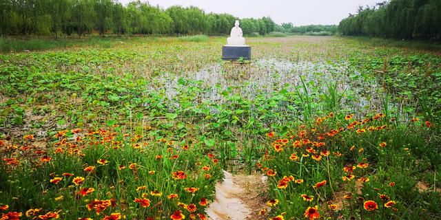 东明森林公园在哪里(东明森林公园在哪里森)