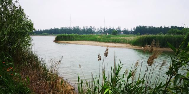 东明森林公园在哪里(东明森林公园在哪里森)