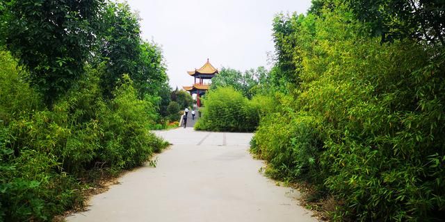 东明森林公园在哪里(东明森林公园在哪里森)