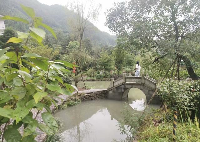 箬阳在哪里(顺阳在哪里)