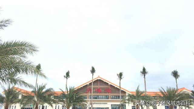 乐东高铁站在哪里(乐东高铁站位置)