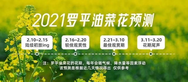 中国旅游杂志哪个好(中国旅游杂志有哪些)