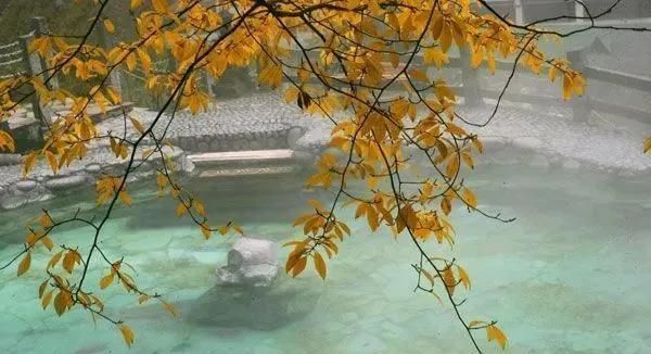 中国旅游杂志哪个好(中国旅游杂志有哪些)