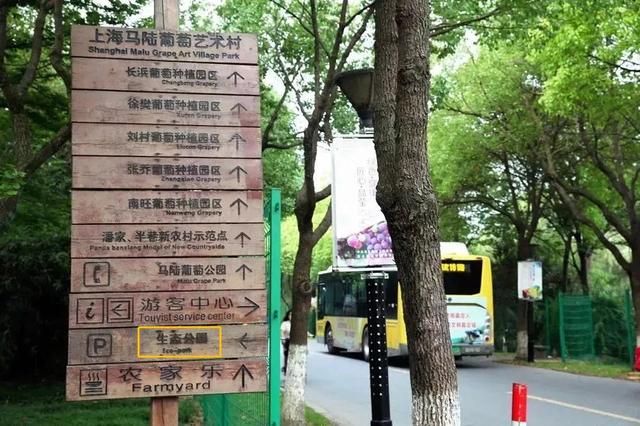 嘉定花木市场在哪里(嘉定花木市场)