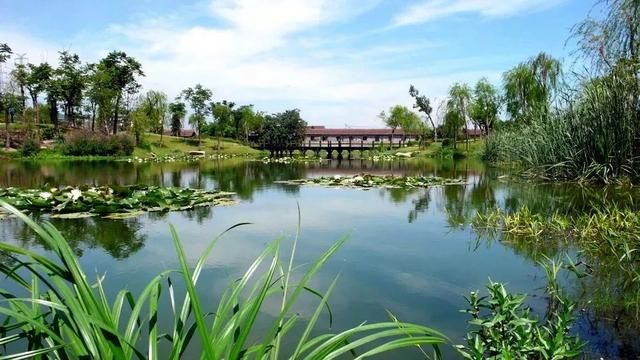 嘉定花木市场在哪里(嘉定花木市场)