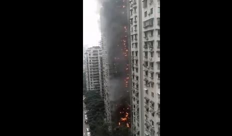 重庆加州城市花园在哪里(重庆加州城市花园)