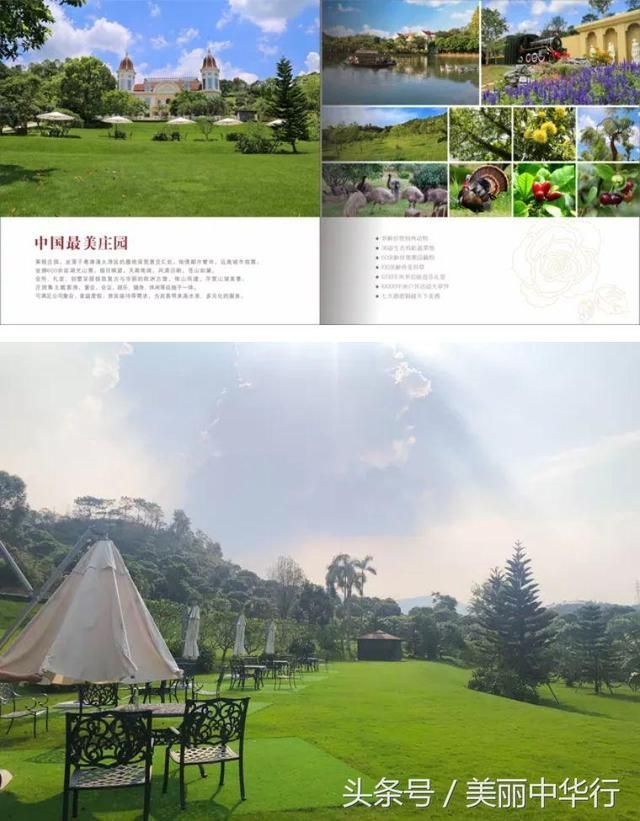 莱顿庄园在哪(莱顿庄园西式婚礼)
