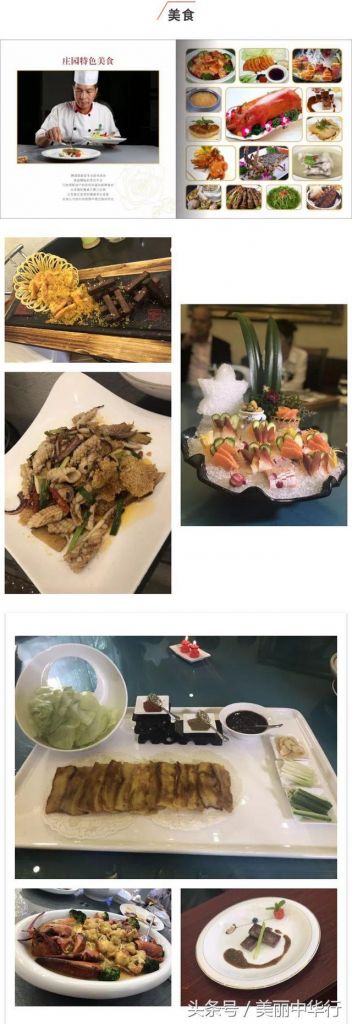 莱顿庄园在哪(莱顿庄园西式婚礼)