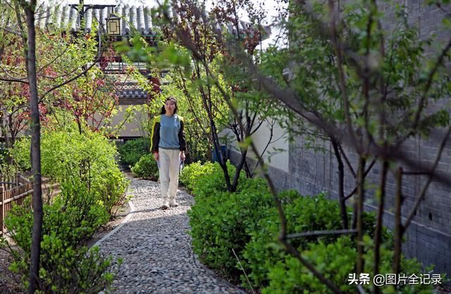 关于曹溪河在哪儿的信息