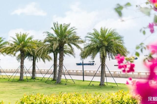 海滨公园在哪里(广州海滨公园在哪里)