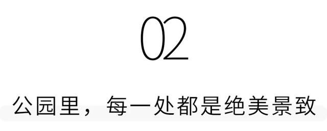 海滨公园在哪里(广州海滨公园在哪里)