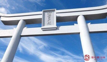 关于白崎八幡宫在哪的信息