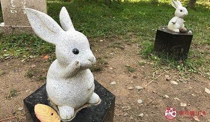 关于白崎八幡宫在哪的信息