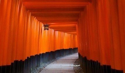 关于白崎八幡宫在哪的信息