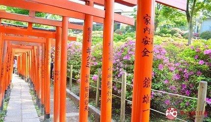 关于白崎八幡宫在哪的信息