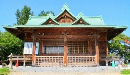 关于白崎八幡宫在哪的信息