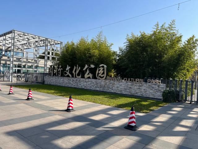 大七宝在哪里(七宝中医医院在哪里)