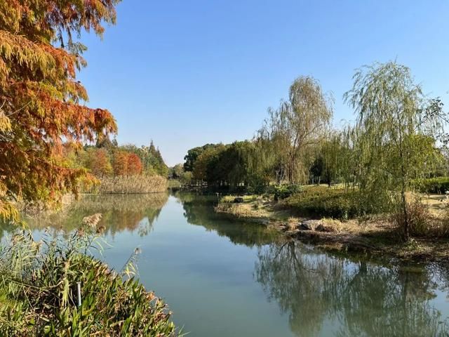 大七宝在哪里(七宝中医医院在哪里)