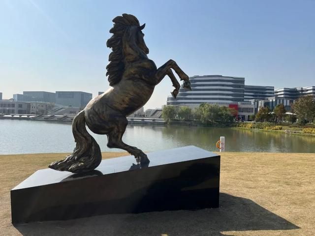 大七宝在哪里(七宝中医医院在哪里)