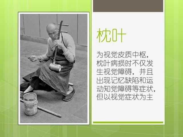 脑神经在哪(脑神经在哪里)
