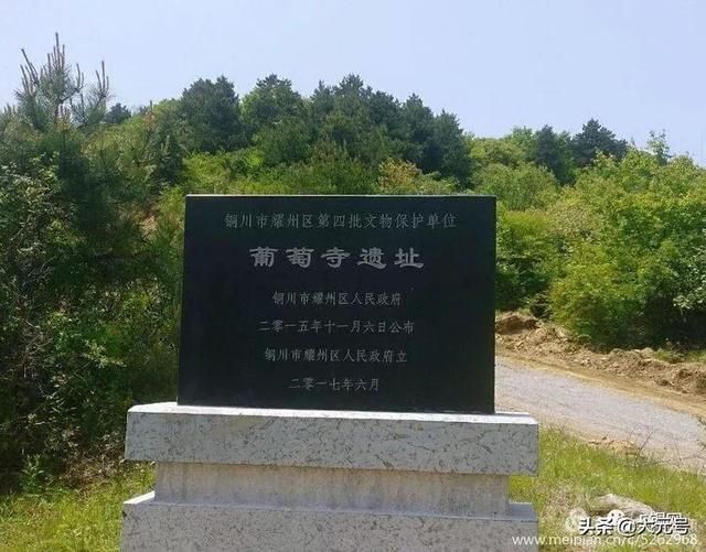 葡萄寺在哪里(眉山葡萄基地在哪里)