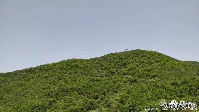 葡萄寺在哪里(眉山葡萄基地在哪里)