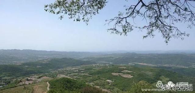 葡萄寺在哪里(眉山葡萄基地在哪里)