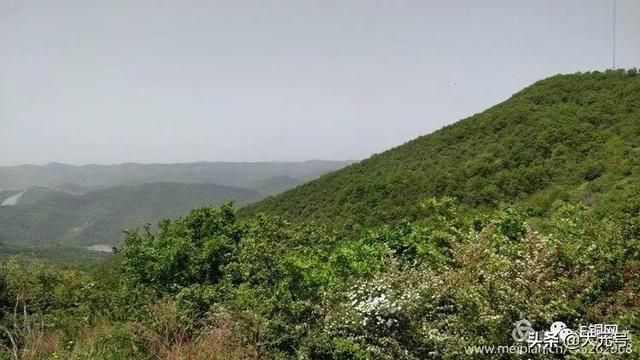 葡萄寺在哪里(眉山葡萄基地在哪里)