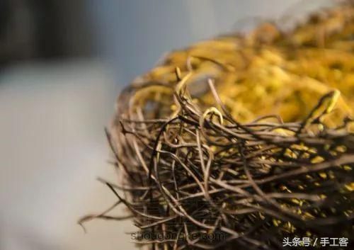 关于发光的树枝在哪个图用的信息