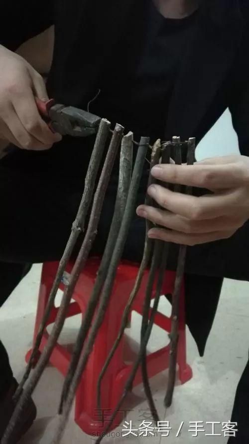关于发光的树枝在哪个图用的信息